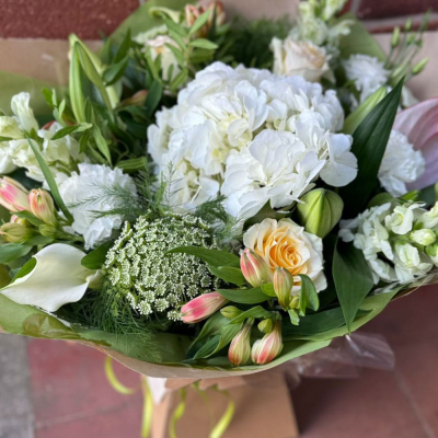 Cloud Nine - A soft and serene arrangement of white hydrangeas, peach roses, calla lilies, and lisianthus, finished with elegant foliage. Ideal for sympathy, weddings, or new beginnings. Cloud Nine - A soft and serene arrangement of white hydrangeas, peach roses, calla lilies, and lisianthus, finished with elegant foliage. Ideal for sympathy, weddings, or new beginnings.