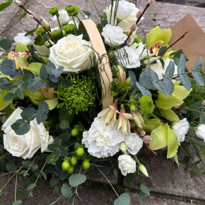 Elegant Harmony (Basket) - A serene floral basket filled with ivory roses, green cymbidium orchids, white carnations, eucalyptus and seasonal greens. A timeless tribute of elegance and peace. Elegant Harmony (Basket) - A serene floral basket filled with ivory roses, green cymbidium orchids, white carnations, eucalyptus and seasonal greens. A timeless tribute of elegance and peace.