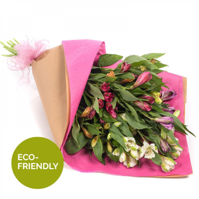 Wrap of Colour - This simply wrapped collection of long lasting Alstroemeria will make your message just that bit more special.
 Wrap of Colour - This simply wrapped collection of long lasting Alstroemeria will make your message just that bit more special.