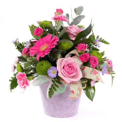 Cotton Candy - This little pot of sweetness is a joy to behold. Filled with smiling flowers and a complement of variegated foliage.  Cotton Candy - This little pot of sweetness is a joy to behold. Filled with smiling flowers and a complement of variegated foliage.