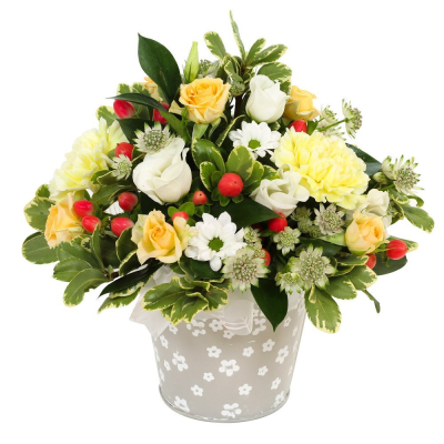 A New Day - Flowers to put a smile on their face. Let them know that you’re thinking of them with this fun petite collection of flowers and foliage to send same day. Flowers for same day delivery by the local florist.  A New Day - Flowers to put a smile on their face. Let them know that you’re thinking of them with this fun petite collection of flowers and foliage to send same day. Flowers for same day delivery by the local florist.