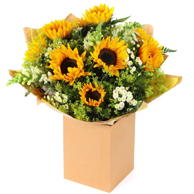Sunshine Splendour - Radiate joy and warmth with this cheerful bouquet of sunflowers and lush greenery. Presented in a beautiful packaging, it's perfect for bringing a touch of sunshine into any space. Sunshine Splendour - Radiate joy and warmth with this cheerful bouquet of sunflowers and lush greenery. Presented in a beautiful packaging, it's perfect for bringing a touch of sunshine into any space.