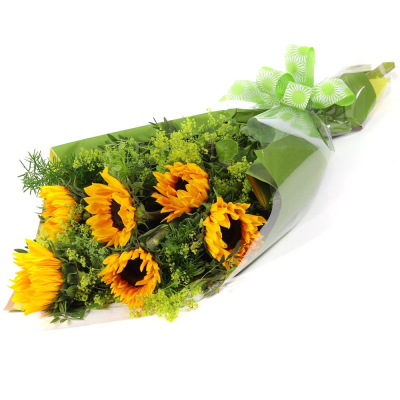 Sunshine Bouquet - Brighten any room with the radiant rays of this stunning sunflower bouquet. Presented in beautiful packaging, it`s ideal for spreading joy and light.
 Sunshine Bouquet - Brighten any room with the radiant rays of this stunning sunflower bouquet. Presented in beautiful packaging, it`s ideal for spreading joy and light.