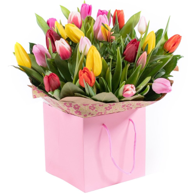 Tulip Temptations - A small posy handtied of mixed tulips with optional foliage wrapped and delivered in water as you choose .  Tulip Temptations - A small posy handtied of mixed tulips with optional foliage wrapped and delivered in water as you choose .